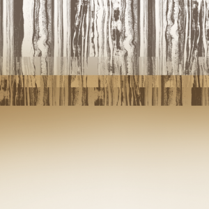 Between The Grains / Light